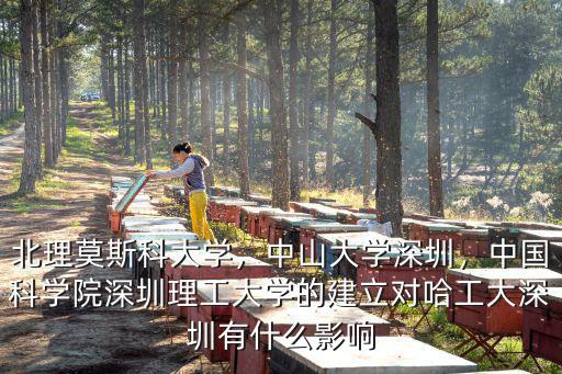 北理莫斯科大學，中山大學深圳，中國科學院深圳理工大學的建立對哈工大深圳有什么影響