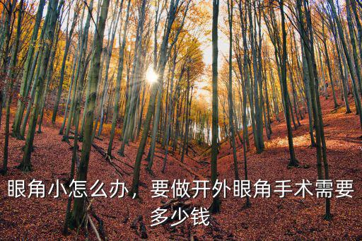 眼角小怎么辦，要做開外眼角手術(shù)需要多少錢
