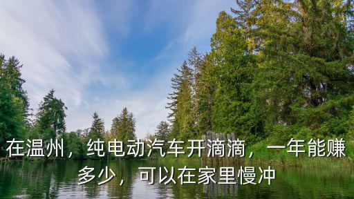 在溫州，純電動汽車開滴滴，一年能賺多少，可以在家里慢沖