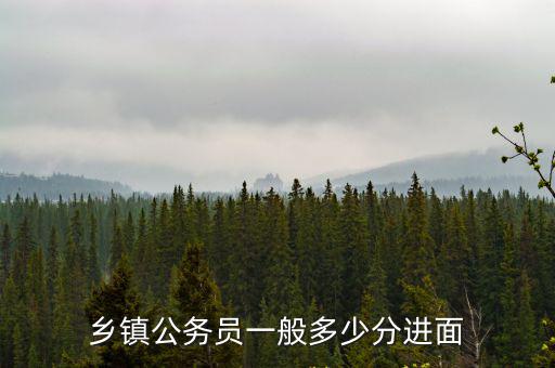 鄉鎮公務員一般多少分進面