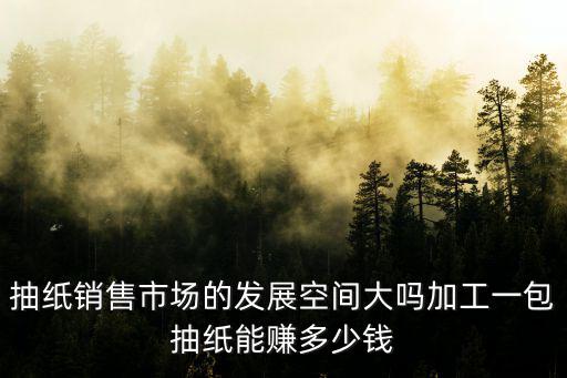麗水銷售抽紙多少錢,加工一包抽紙能賺多少錢