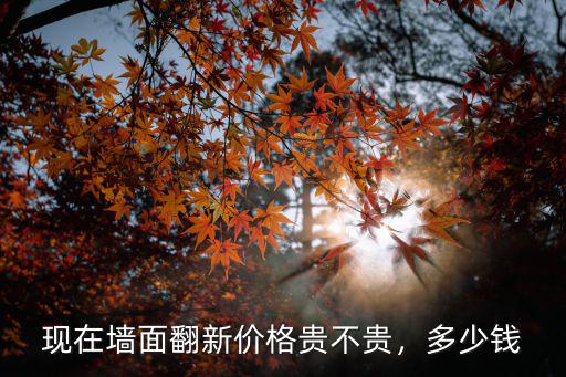 現在墻面翻新價格貴不貴，多少錢