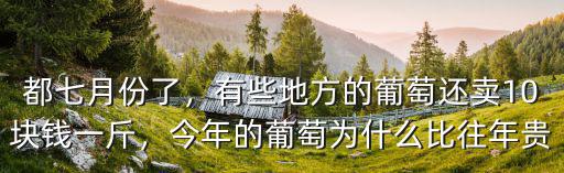 臺州葡萄多少錢一斤,近期葡萄價格多少錢一斤