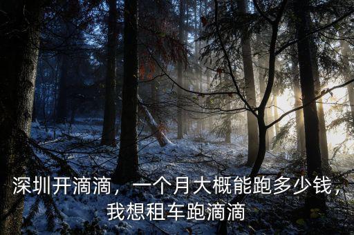 實測深圳跑滴滴一天多少錢,一個月大概能跑多少錢