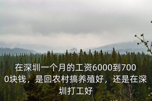在深圳一個月的工資6000到7000塊錢，是回農村搞養殖好，還是在深圳打工好