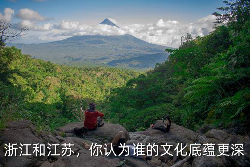 浙江江蘇多少車輛,江蘇有多少溫州投資商