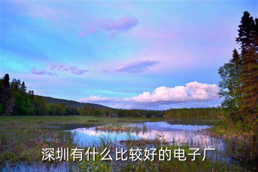 深圳有什么比較好的電子廠