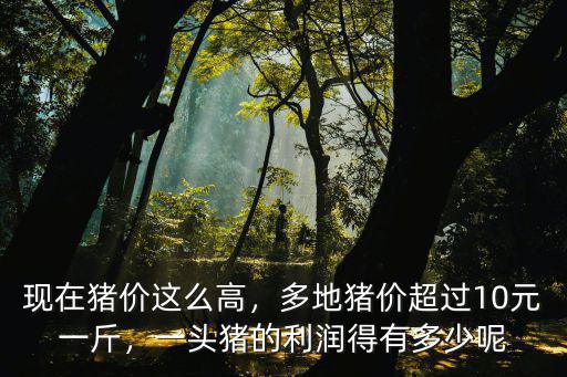 現在豬價這么高，多地豬價超過10元一斤，一頭豬的利潤得有多少呢