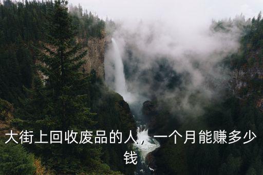 大街上回收廢品的人，一個月能賺多少錢
