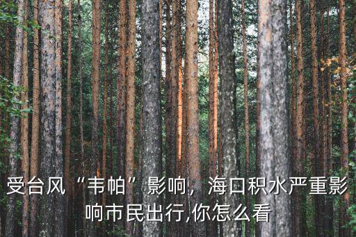受臺風“韋帕”影響，?？诜e水嚴重影響市民出行,你怎么看