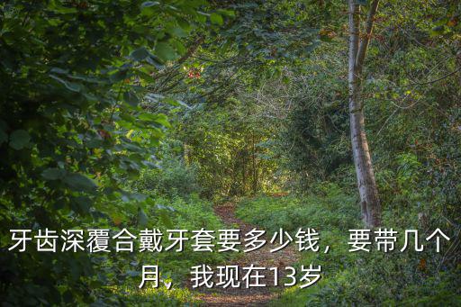 深圳戴牙套價格一般是多少,帶牙套最低多少錢