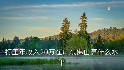 在佛山月收入多少算高,在佛山禪城區大概月收入多少