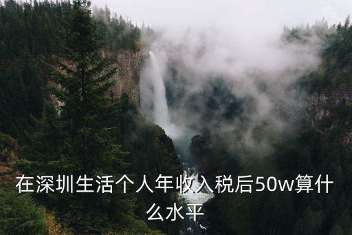 在深圳生活個人年收入稅后50w算什么水平