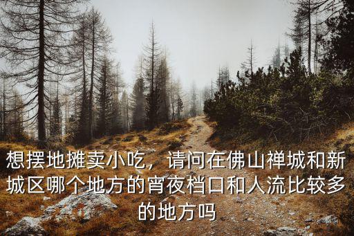想擺地攤賣小吃，請問在佛山禪城和新城區哪個地方的宵夜檔口和人流比較多的地方嗎