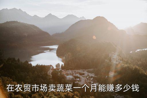 在農貿市場賣蔬菜一個月能賺多少錢
