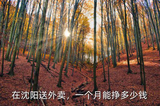 在沈陽送外賣，一個月能掙多少錢