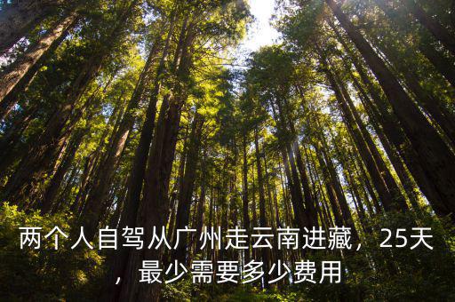 從廣州開車進藏費用多少,兩個人自駕從廣州走云南進藏