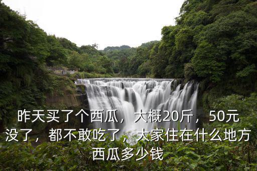 寧波吃西瓜多少錢,你買過最便宜的西瓜多少錢