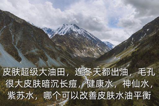 皮膚超級大油田，連冬天都出油，毛孔很大皮膚暗沉長痘，健康水，神仙水，紫蘇水，哪個可以改善皮膚水油平衡