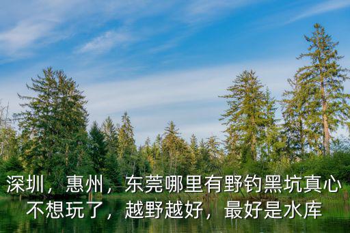 東莞哪里釣石斑魚,吊石斑魚都用什么餌料