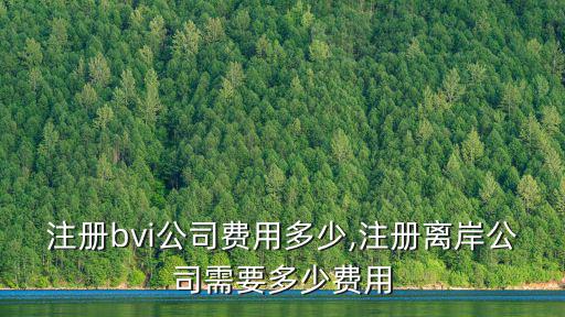 廣州注冊bvi公司費用多少,注冊離岸公司需要多少費用