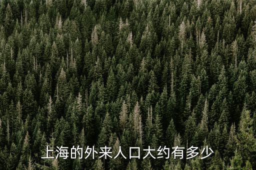 上海的外來人口大約有多少