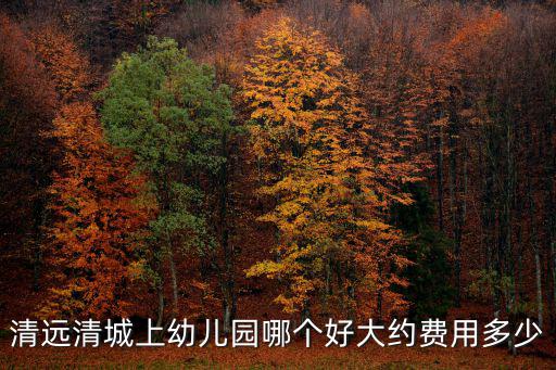 清遠(yuǎn)清城上幼兒園哪個好大約費(fèi)用多少