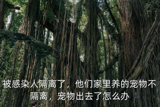 被感染人隔離了，他們家里養的寵物不隔離，寵物出去了怎么辦