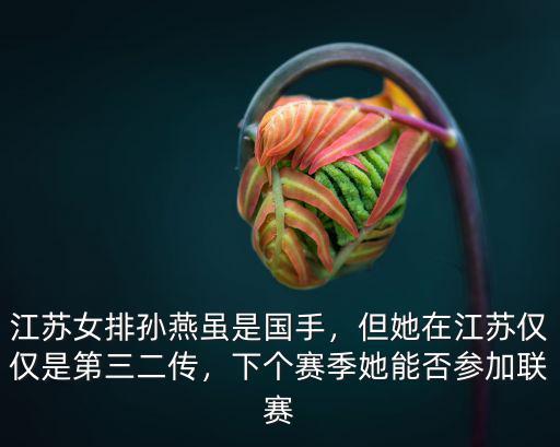 江蘇女排二傳刁琳宇身高多少,江蘇女排孫燕雖是國手