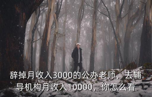 辭掉月收入3000的公辦老師，去輔導機構月收入10000，你怎么看