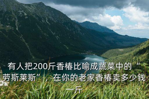 江蘇香椿多少錢一斤,2021年香椿多少錢一斤