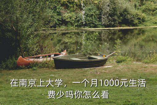 在南京上大學(xué)，一個(gè)月1000元生活費(fèi)少嗎你怎么看