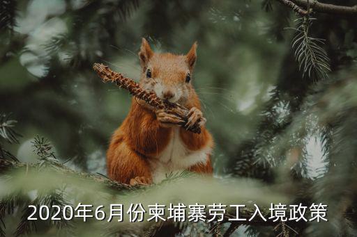 2020年6月份柬埔寨勞工入境政策