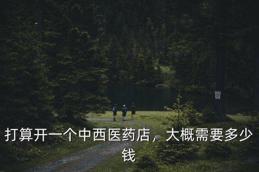 打算開一個中西醫藥店，大概需要多少錢