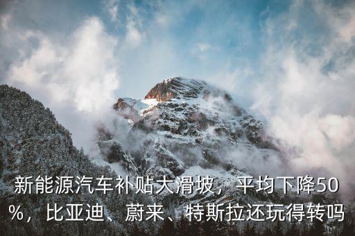 蘇州蔚來汽車補(bǔ)貼多少,新能源汽車補(bǔ)貼大滑坡