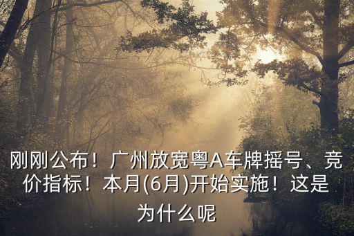 剛剛公布！廣州放寬粵A車牌搖號、競價指標！本月(6月)開始實施！這是為什么呢