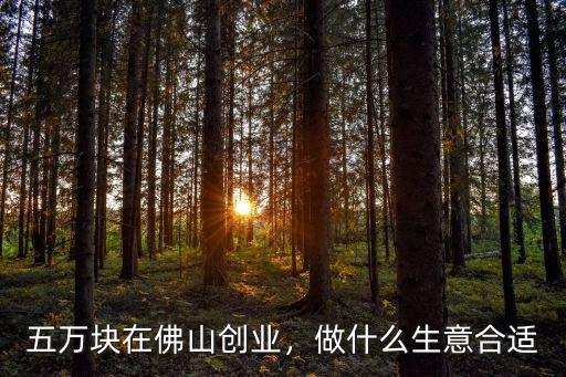 五萬塊在佛山創(chuàng)業(yè)，做什么生意合適