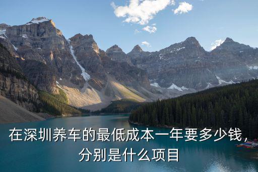 在深圳買個車一年需要多少錢,在深圳養一輛車