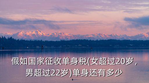廣州單身稅多少,單身還有多少