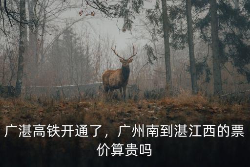 陸川到湛江高鐵票價多少錢,廣州南到湛江西的票價算貴嗎
