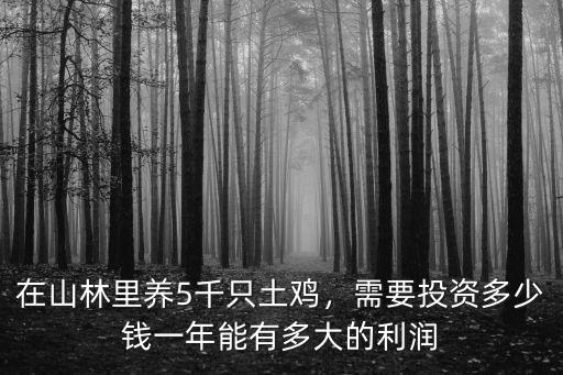 廣東雞雛多少錢,現在土雞價格多少錢一斤