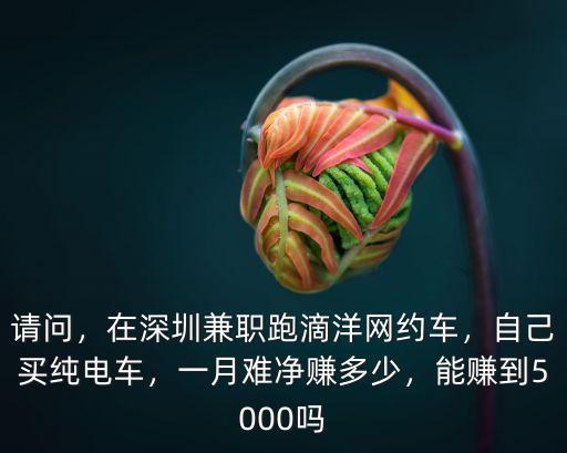 請問，在深圳兼職跑滴洋網約車，自己買純電車，一月難凈賺多少，能賺到5000嗎
