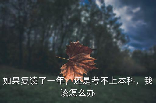 如果復(fù)讀了一年，還是考不上本科，我該怎么辦