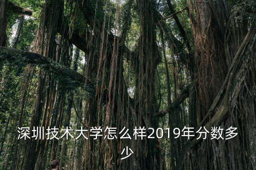 深圳技術大學怎么樣2019年分數多少