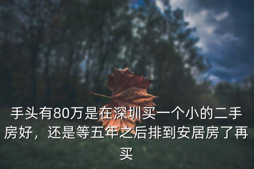 手頭有80萬是在深圳買一個小的二手房好，還是等五年之后排到安居房了再買