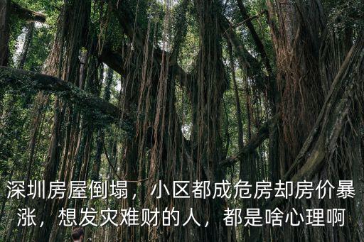 深圳樓房倒塌房價漲了多少倍,深圳房屋倒塌