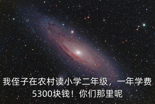 佛山石門小學學費多少錢一年,一年學費5300塊錢