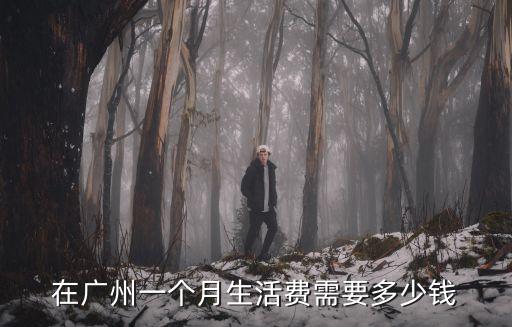 在廣州一個月生活費需要多少錢