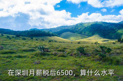 深圳月工資47000稅后領(lǐng)多少,在深圳月薪稅后6500