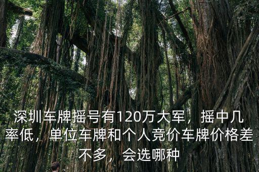 深圳每個月有多少人車牌競價,深圳車牌是怎么競價的